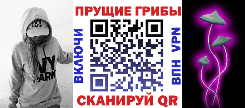 Купить где  Гурьевск  Галлюциногенные грибы Magic Shrooms 